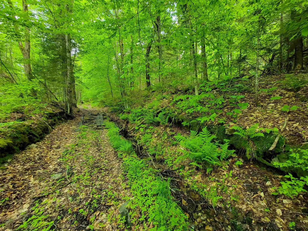 2100 Greendale Road Mount Holly VT 05730