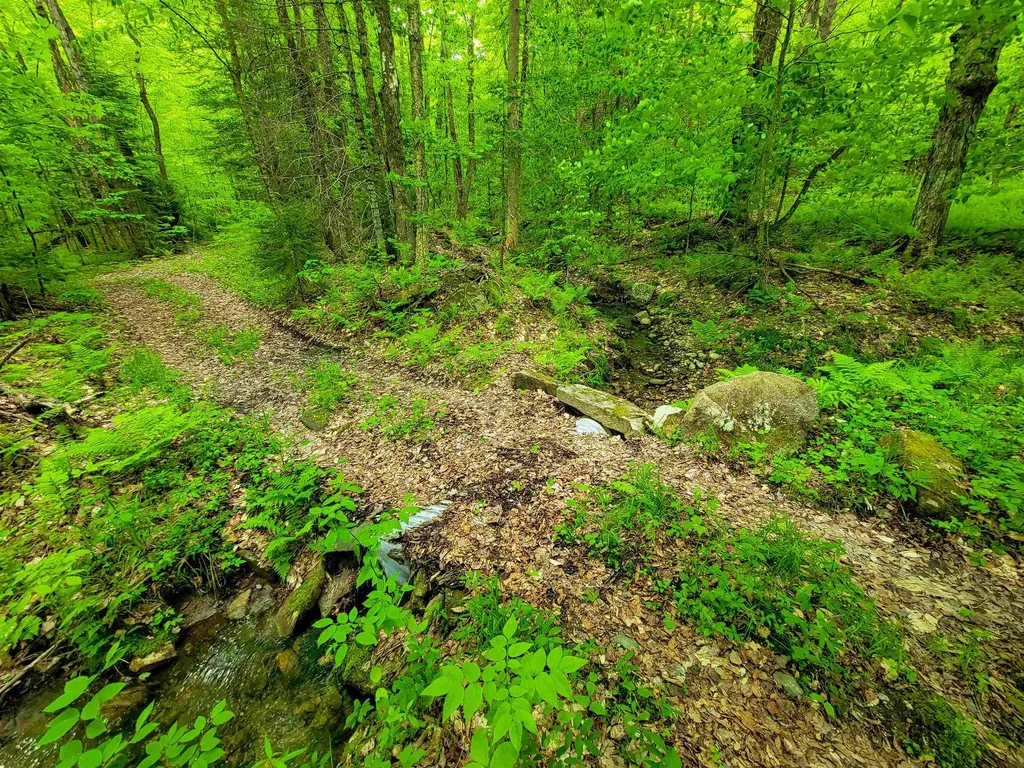 2100 Greendale Road Mount Holly VT 05730