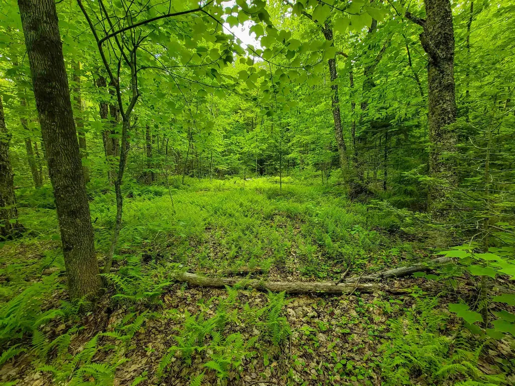 2100 Greendale Road Mount Holly VT 05730