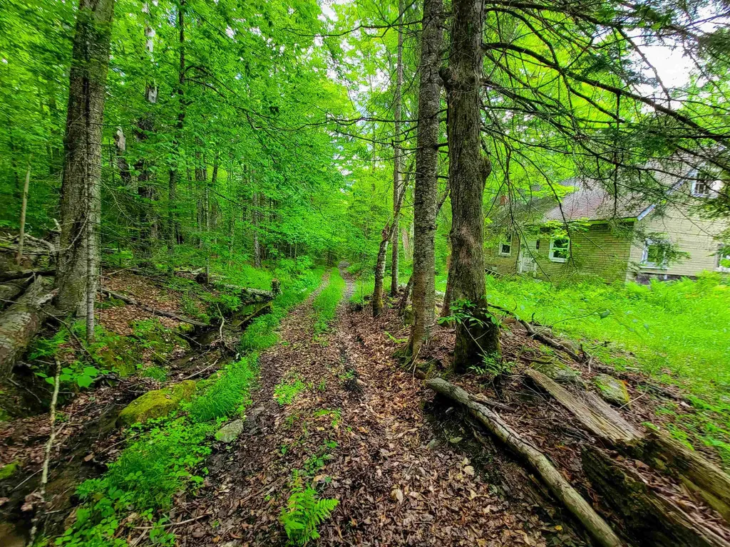 2100 Greendale Road Mount Holly VT 05730