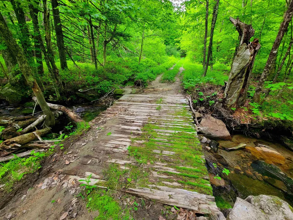 2100 Greendale Road Mount Holly VT 05730