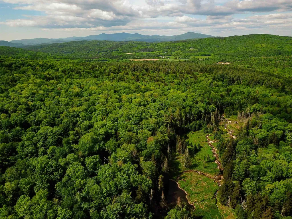 2100 Greendale Road Mount Holly VT 05730