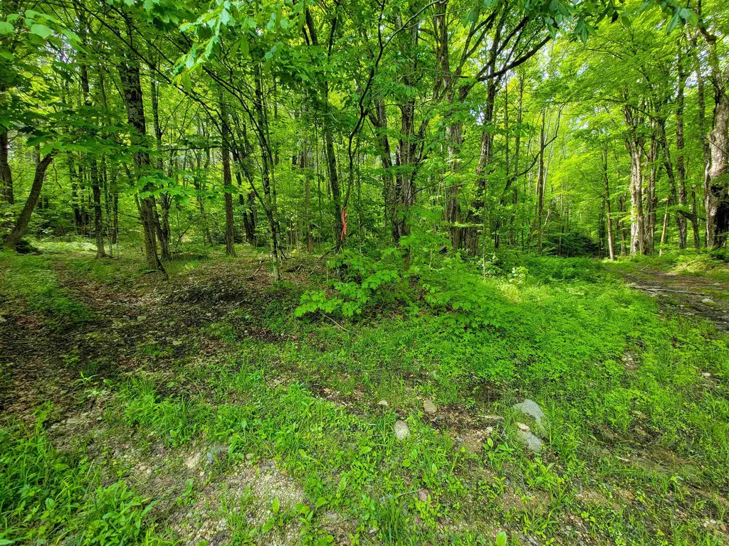 2100 Greendale Road Mount Holly VT 05730