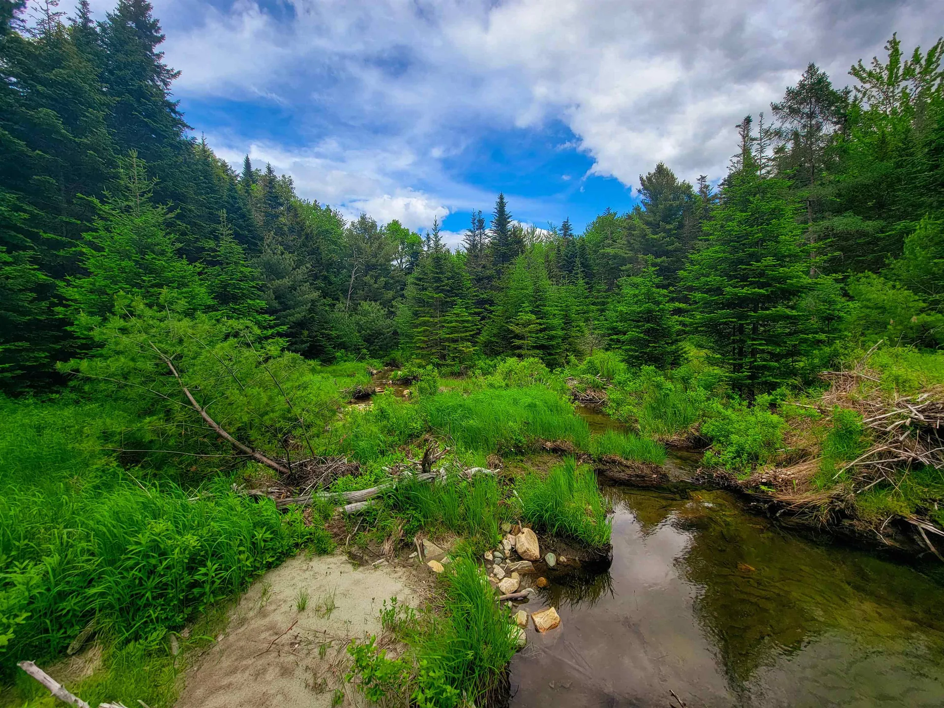 2100 Greendale Road Mount Holly VT 05730