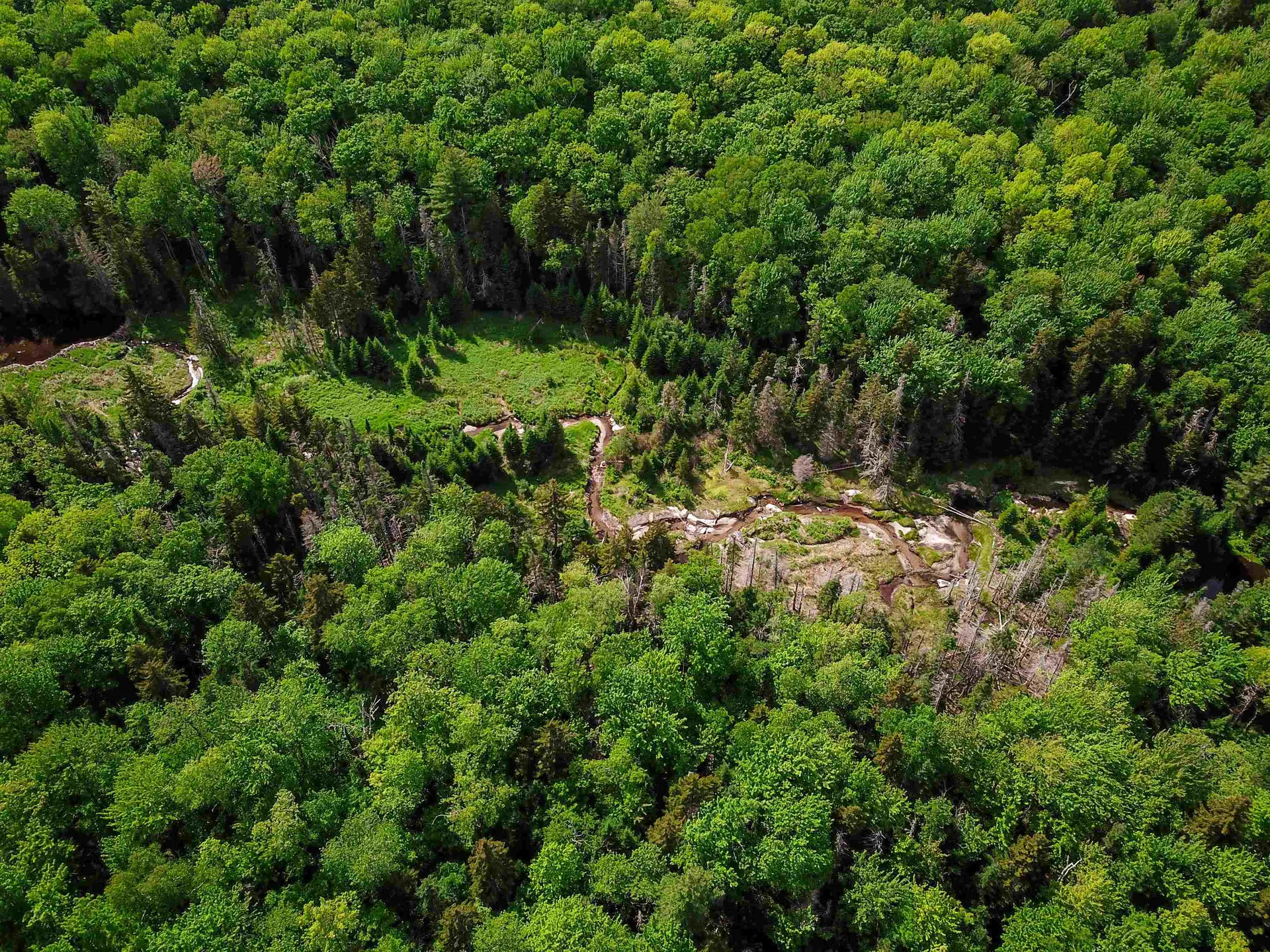 2100 Greendale Road Mount Holly VT 05730