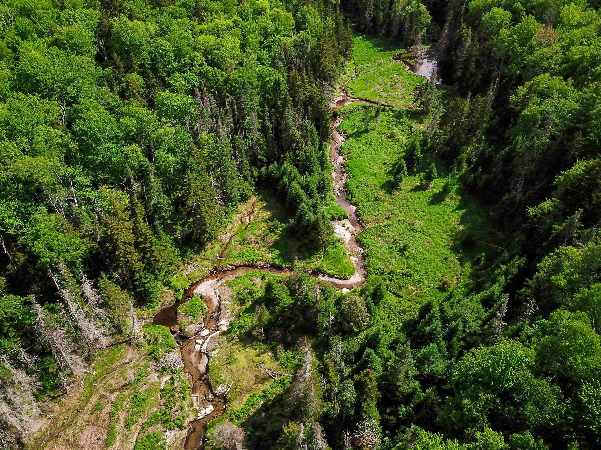 2100 Greendale Road Mount Holly VT 05730