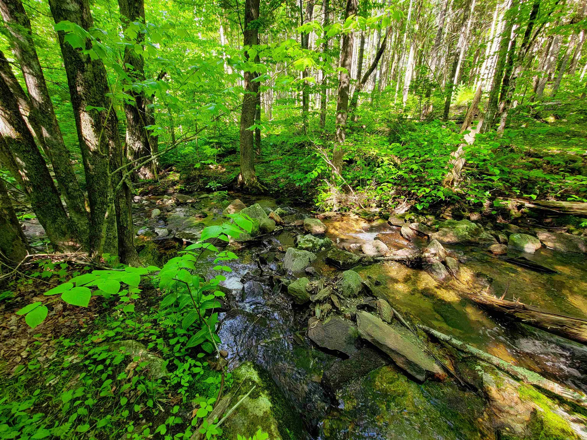 2100 Greendale Road Mount Holly VT 05730