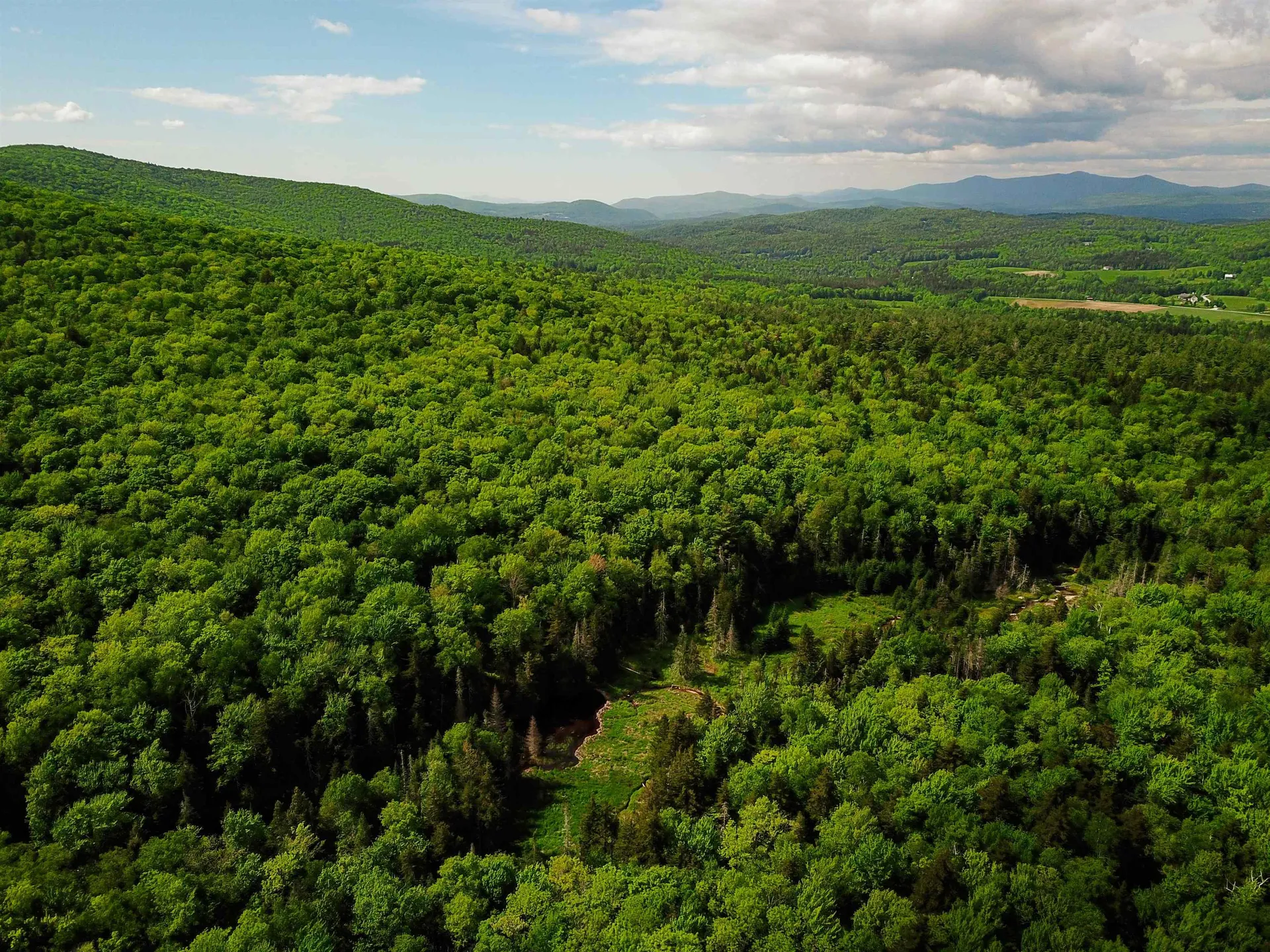 2100 Greendale Road Mount Holly VT 05730