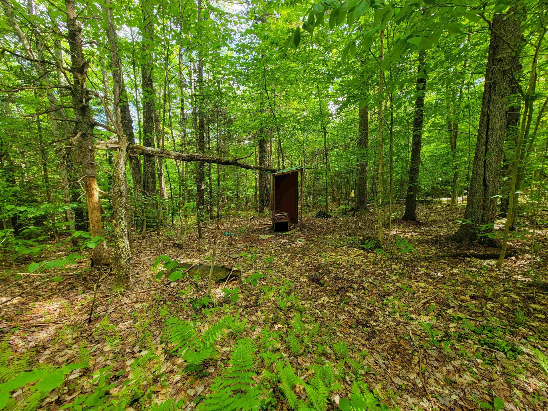 2100 Greendale Road Mount Holly VT 05730