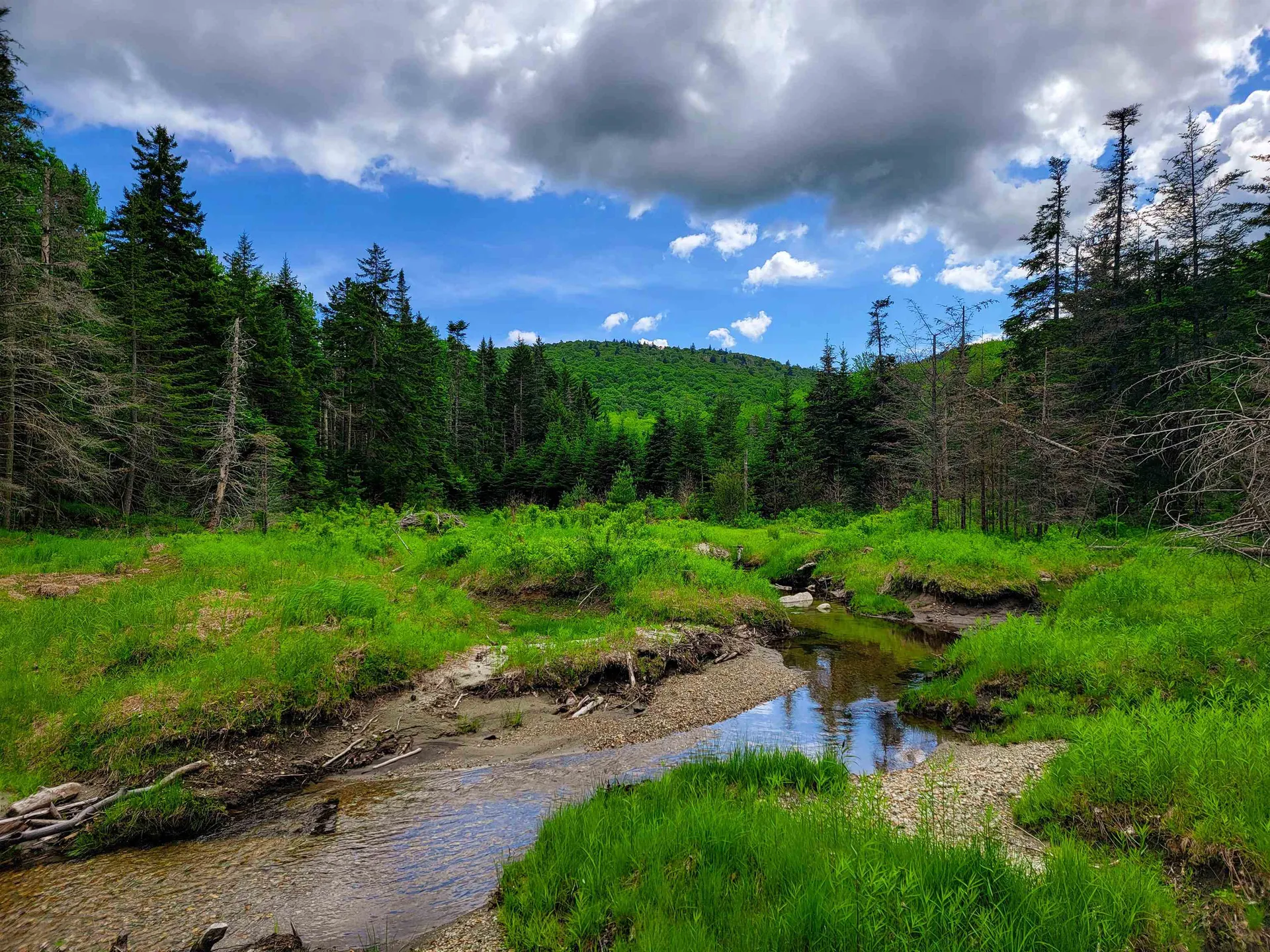 2100 Greendale Road Mount Holly VT 05730