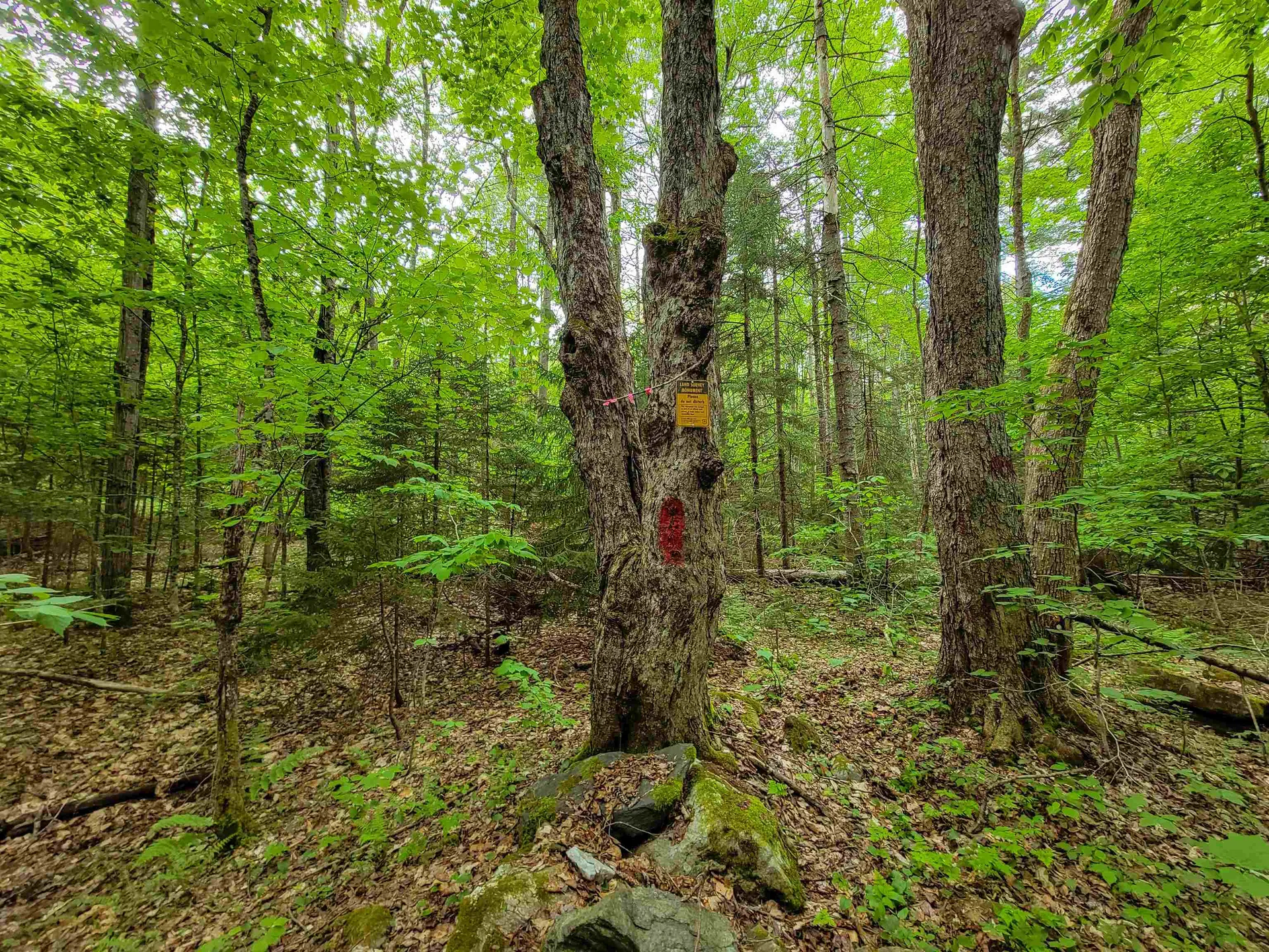 2100 Greendale Road Mount Holly VT 05730