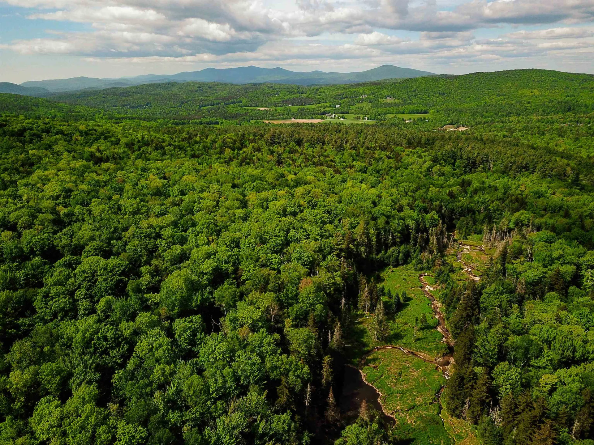 2100 Greendale Road Mount Holly VT 05730