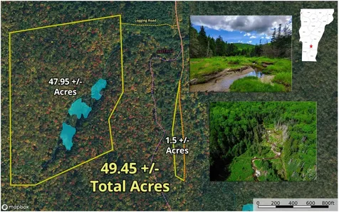2100 Greendale Road Mount Holly VT 05730