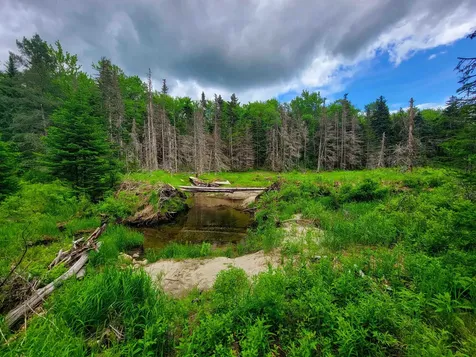 2100 Greendale Road Mount Holly VT 05730