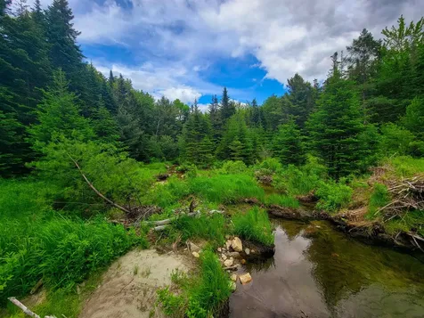 2100 Greendale Road Mount Holly VT 05730