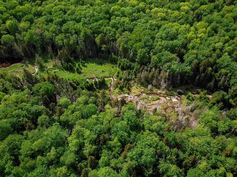 2100 Greendale Road Mount Holly VT 05730