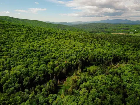 2100 Greendale Road Mount Holly VT 05730