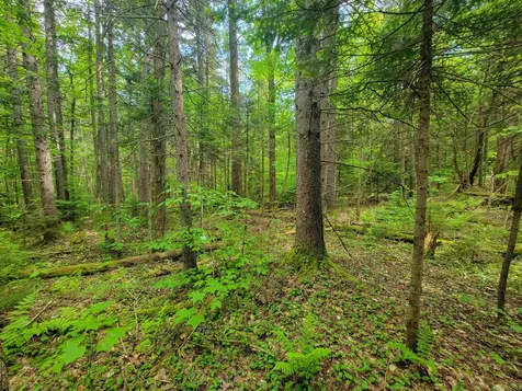 2100 Greendale Road Mount Holly VT 05730