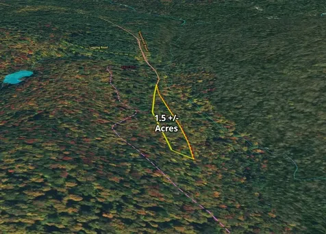 2100 Greendale Road Mount Holly VT 05730