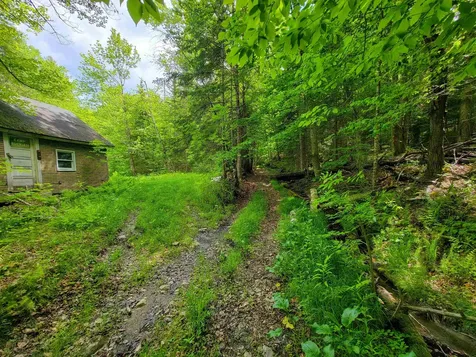 2100 Greendale Road Mount Holly VT 05730