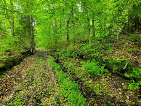 2100 Greendale Road Mount Holly VT 05730