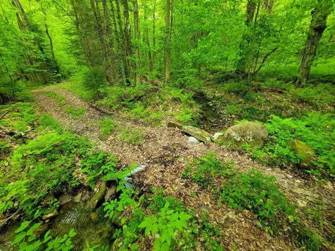 2100 Greendale Road Mount Holly VT 05730