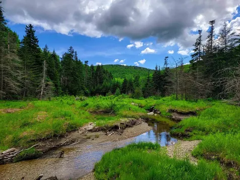 2100 Greendale Road Mount Holly VT 05730