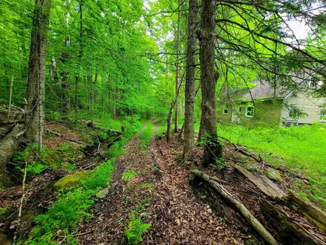 2100 Greendale Road Mount Holly VT 05730