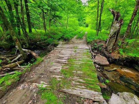 2100 Greendale Road Mount Holly VT 05730