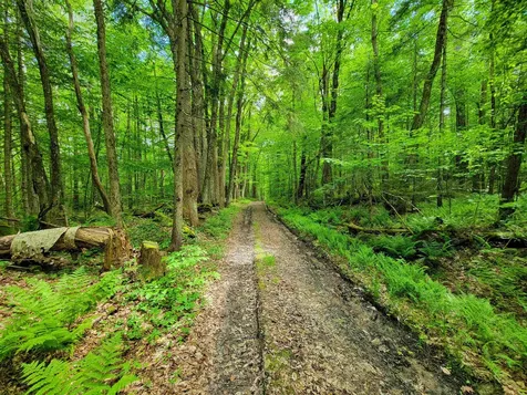 2100 Greendale Road Mount Holly VT 05730