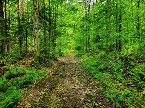 2100 Greendale Road Mount Holly VT 05730