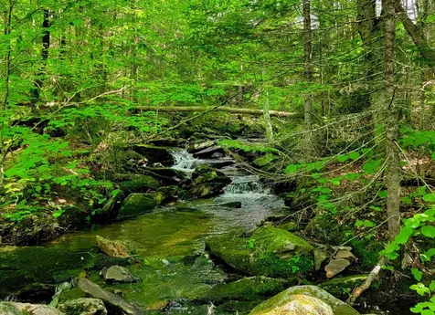 2100 Greendale Road Mount Holly VT 05730