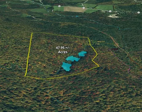 2100 Greendale Road Mount Holly VT 05730