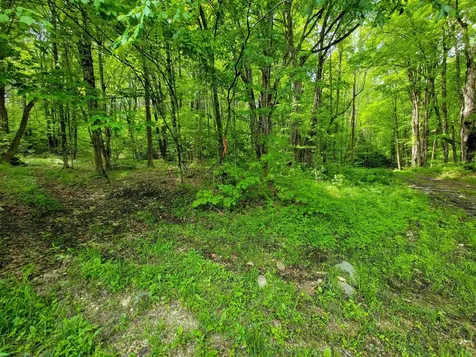 2100 Greendale Road Mount Holly VT 05730