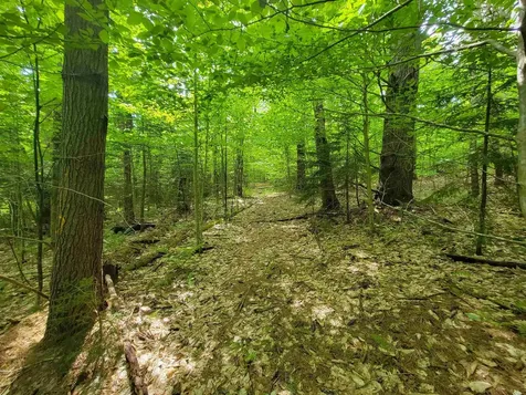 2100 Greendale Road Mount Holly VT 05730