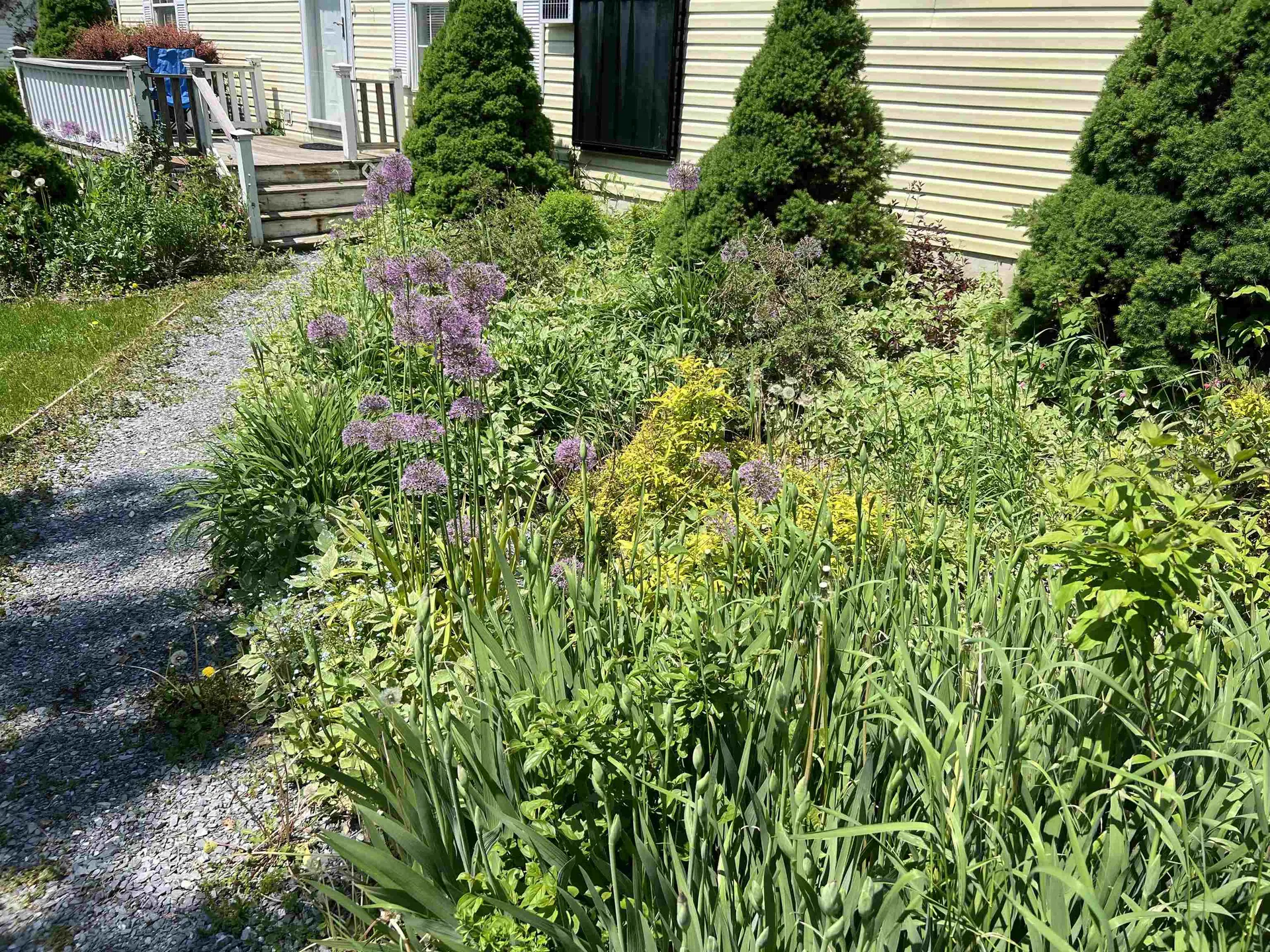 129 Monkton Road Ferrisburgh VT 05491