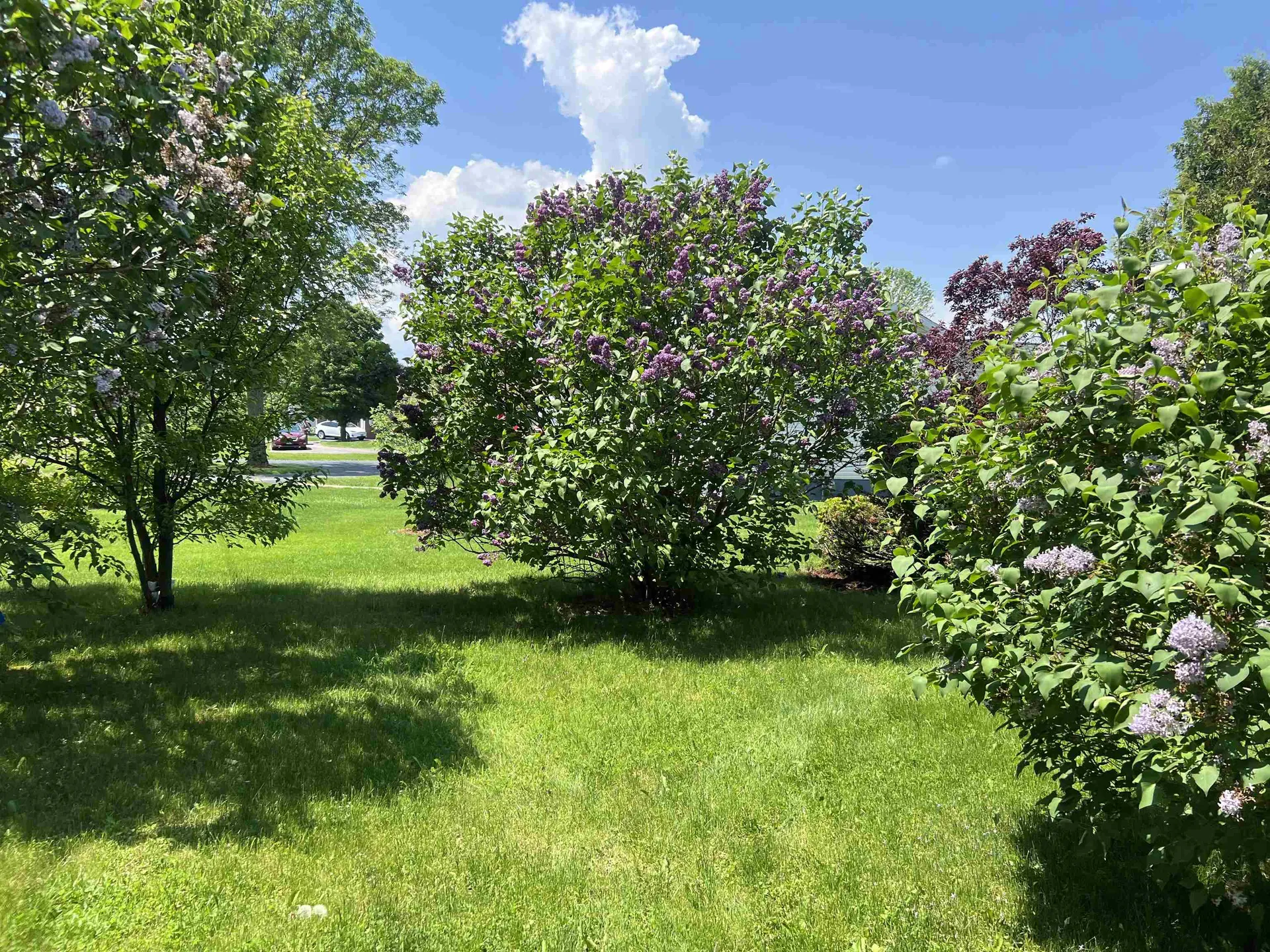 129 Monkton Road Ferrisburgh VT 05491
