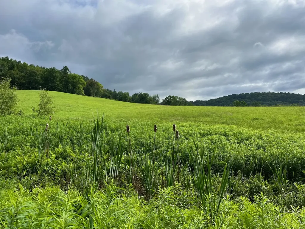 445 Old Quechee Road Hartford VT 05059