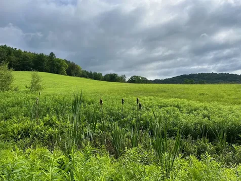 445 Old Quechee Road Hartford VT 05059