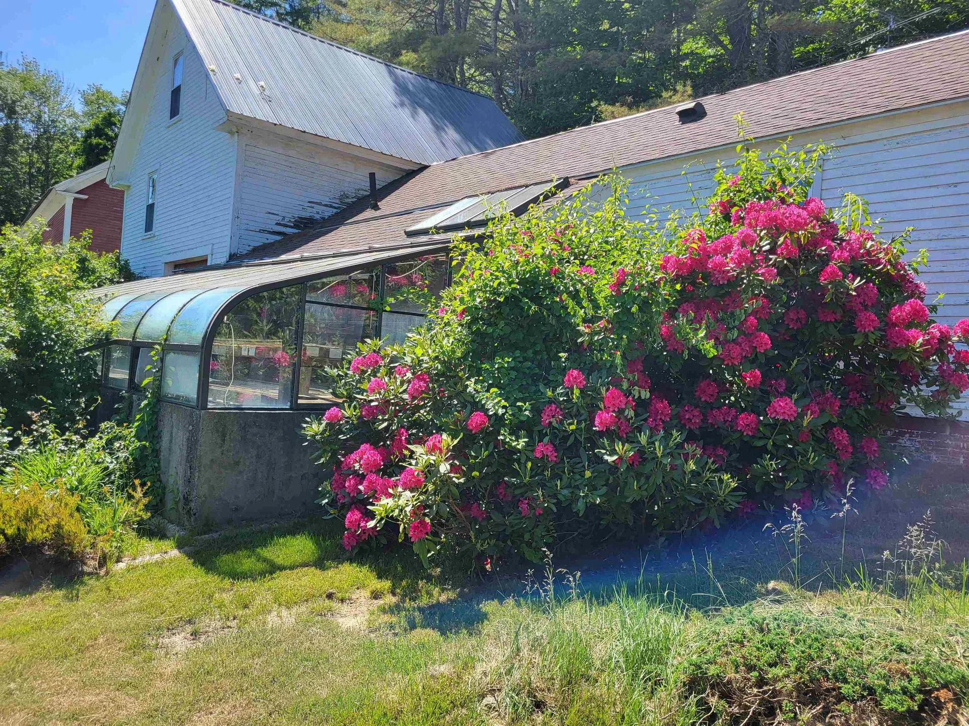 1725 Summer Street Bristol NH 03222