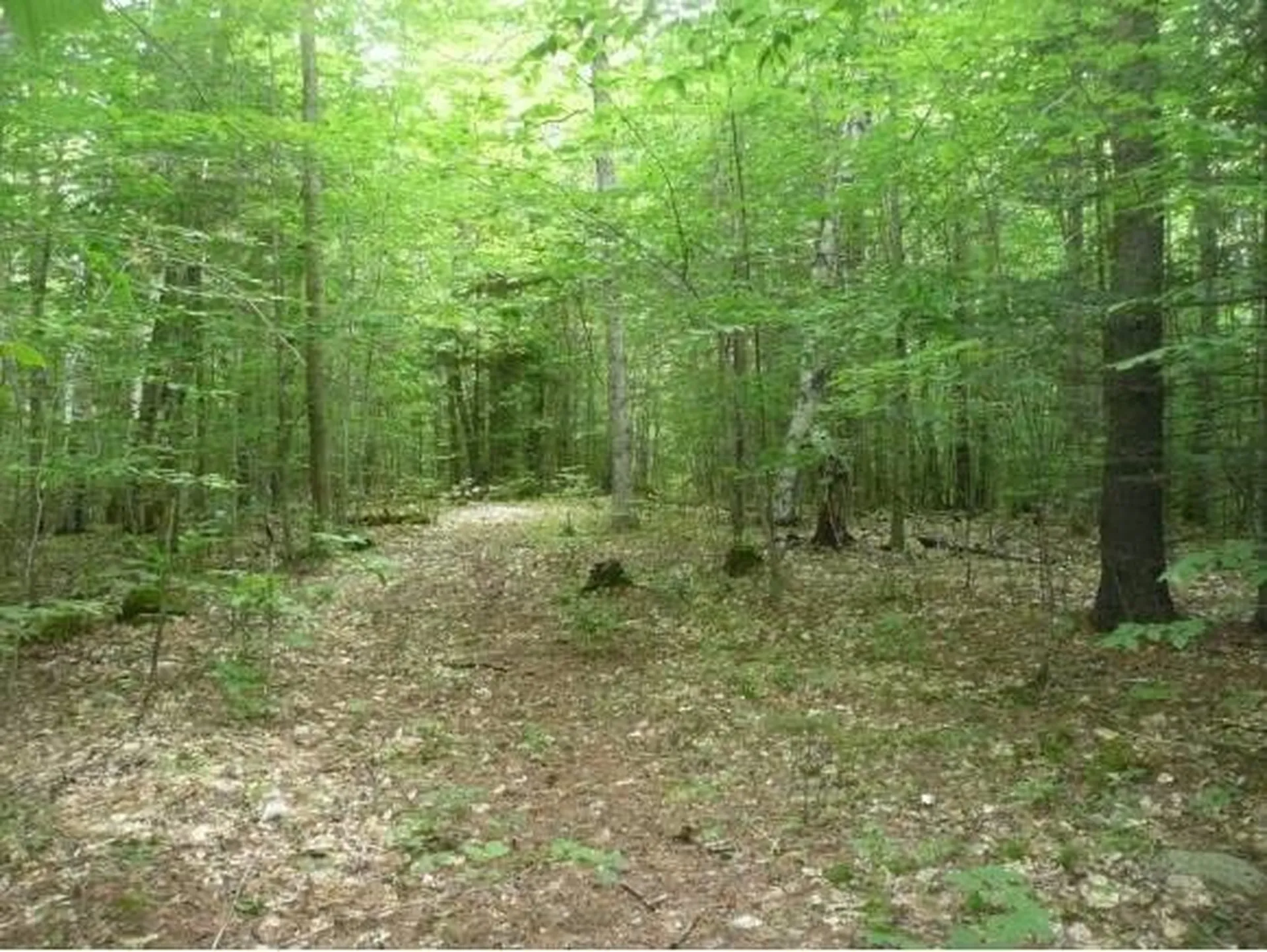 455 Cornish Turnpike Newport NH 03773