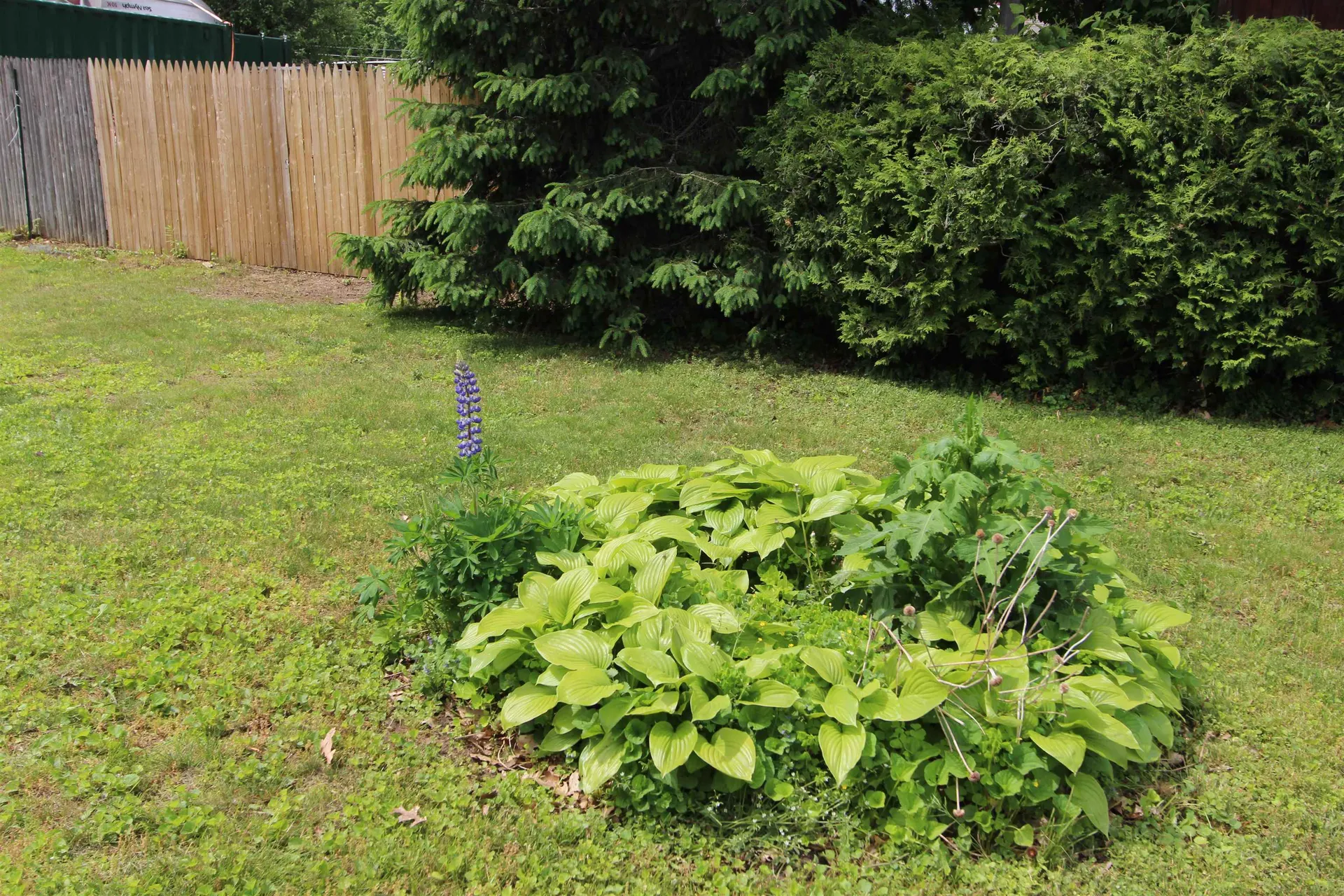 4 Pine Court Essex Junction VT 05452