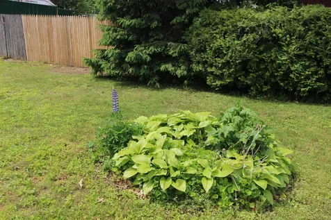 4 Pine Court Essex Junction VT 05452