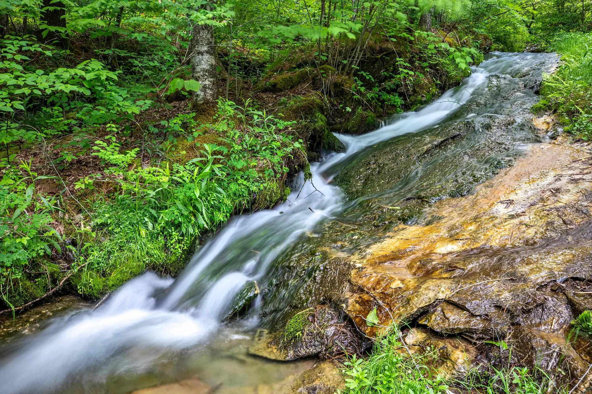 293 Mcnamara Road Dorset VT 05251