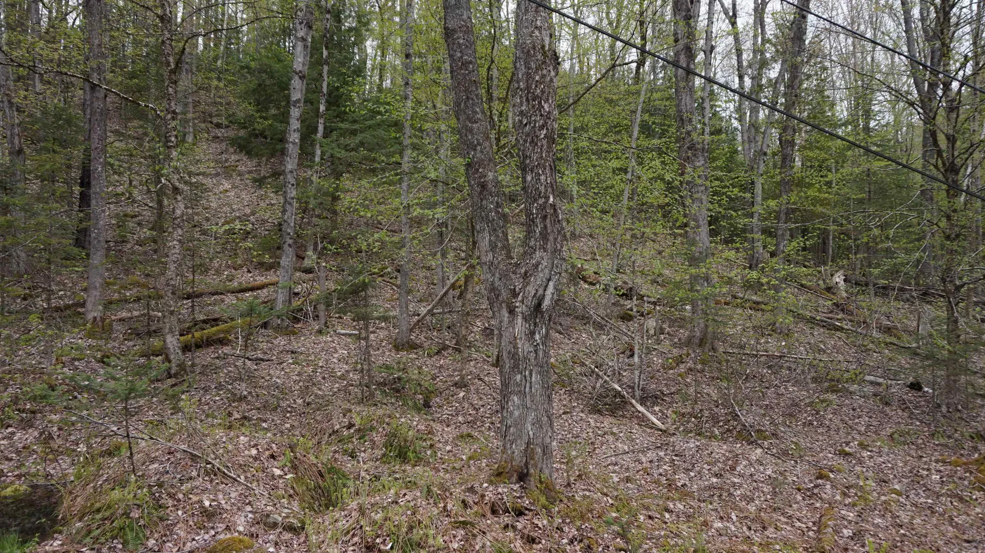 00 Belknap Drive Haverhill NH 03785