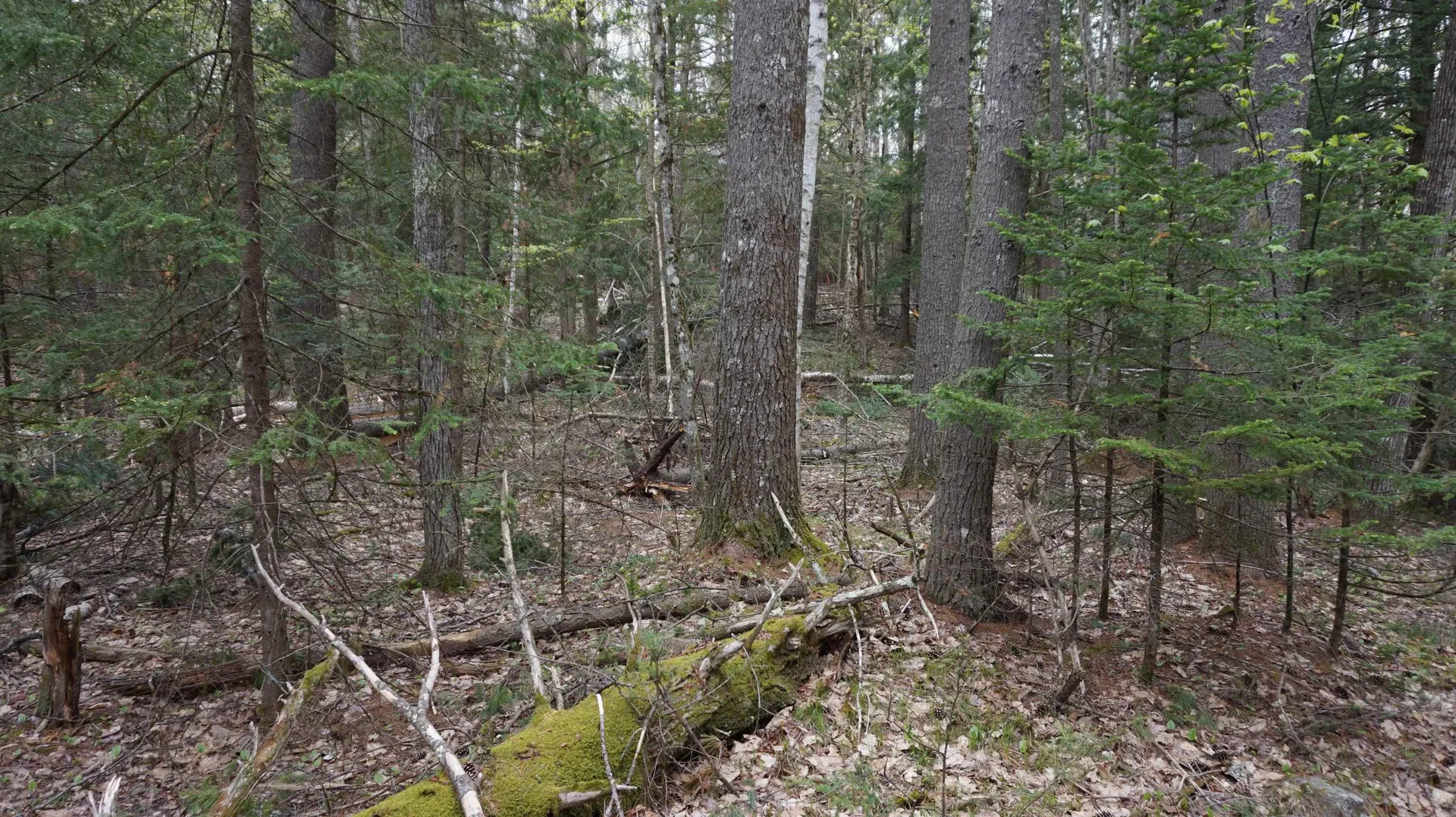 00 Mount Ida Road Haverhill NH 03785