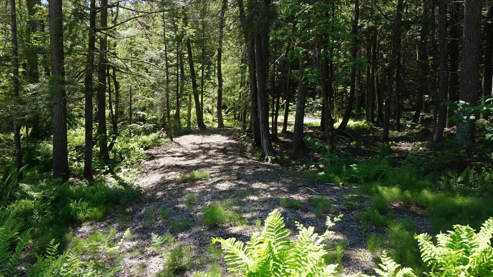 Hanover Drive Haverhill NH 03785