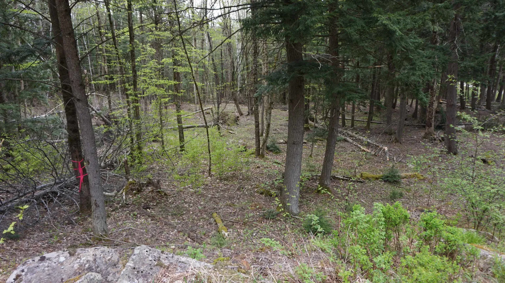 00 Hanover Drive Haverhill NH 03785