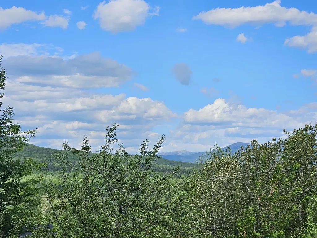 446 Bradley Hill Road Benton NH 03785