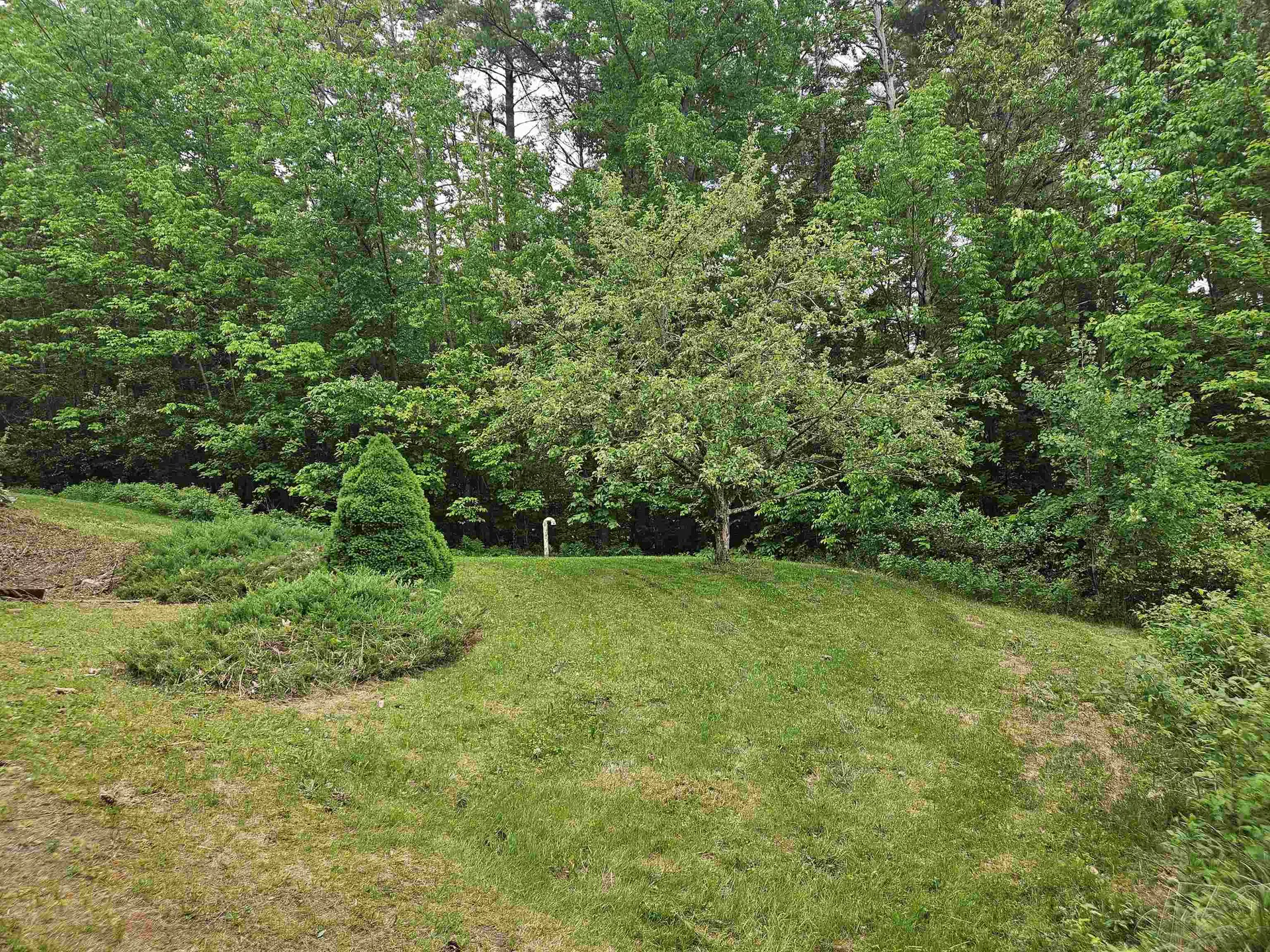 446 Bradley Hill Road Benton NH 03785
